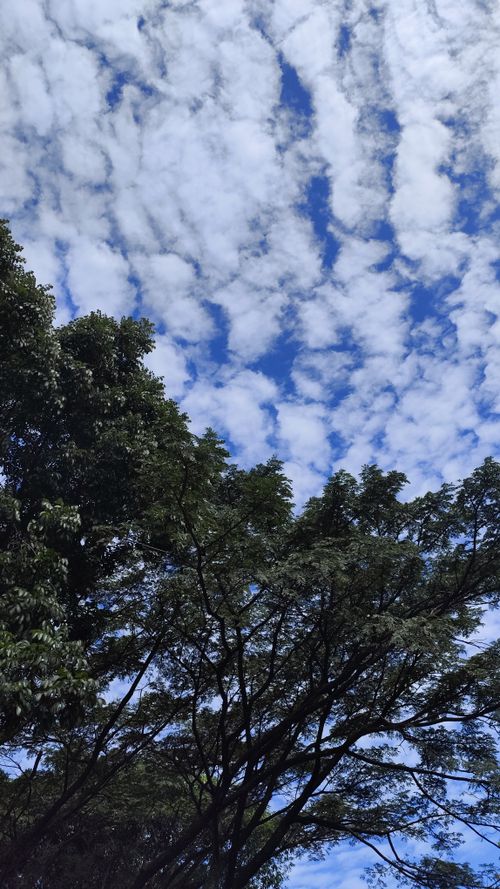 Free Sky of Bandung Stock Photo