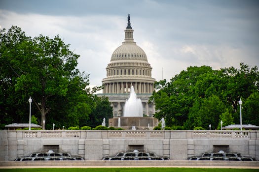 Washington Dc, United States photo 7