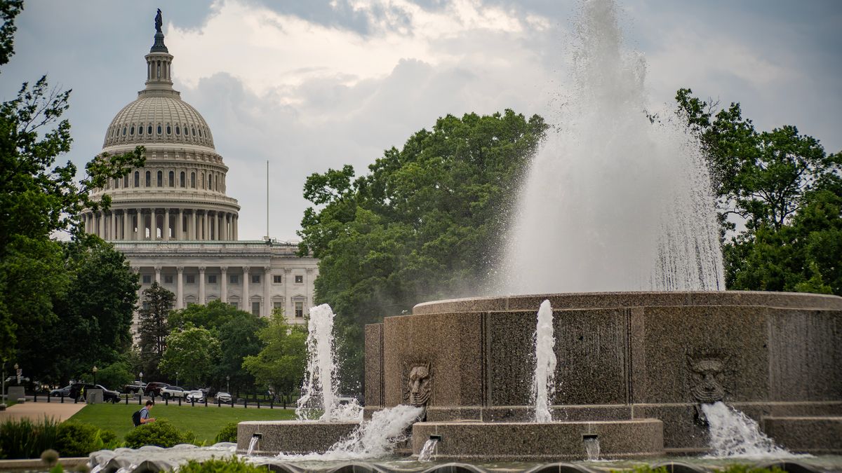 Washington, DC Back-To-School Giveaways Near Me: Where to Find Legit Deals