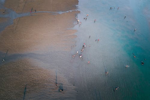 Sahilde İnsanların Havadan Fotoğrafı