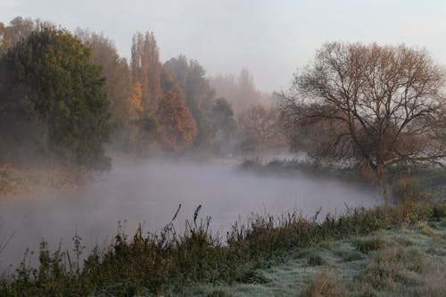 Бесплатное стоковое фото с берег реки, восход, морозный