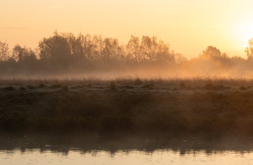 Бесплатное стоковое фото с берег реки, восход, осень