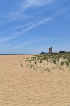 Wide sandy beach at Virginia Beach with dune grass and ocean in the background under clear blue sky.