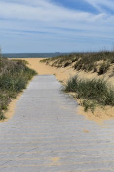 A serene boardwalk pathway leading to the sandy shores of Virginia Beach, showcasing dunes and ocean views.