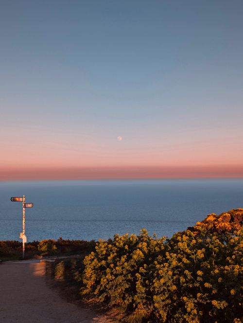 Free A tranquil view of the Irish coast at sunset with vibrant flora and a calm sea. Stock Photo