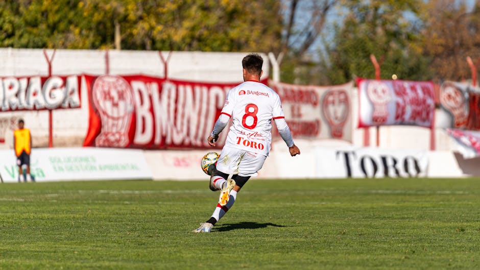 Jambor marchează primul gol în Giulești după o așteptare de un milion de euro!