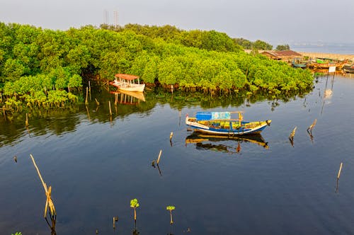 Photo Of Boats During Daytime