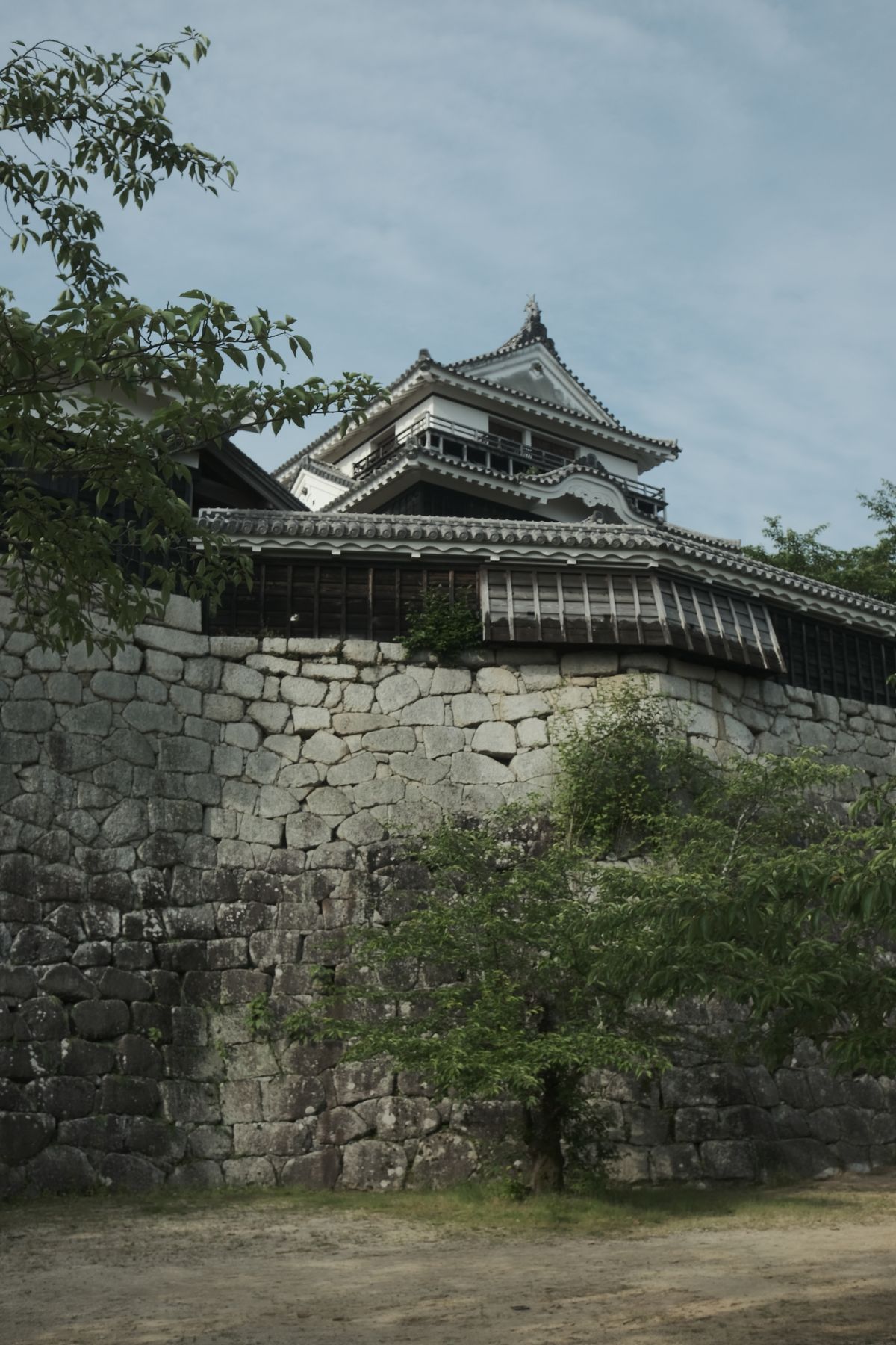 Matsuyama Castle looking up from the stone walls through trees — the 1854 castle keep on its 132-metre hill