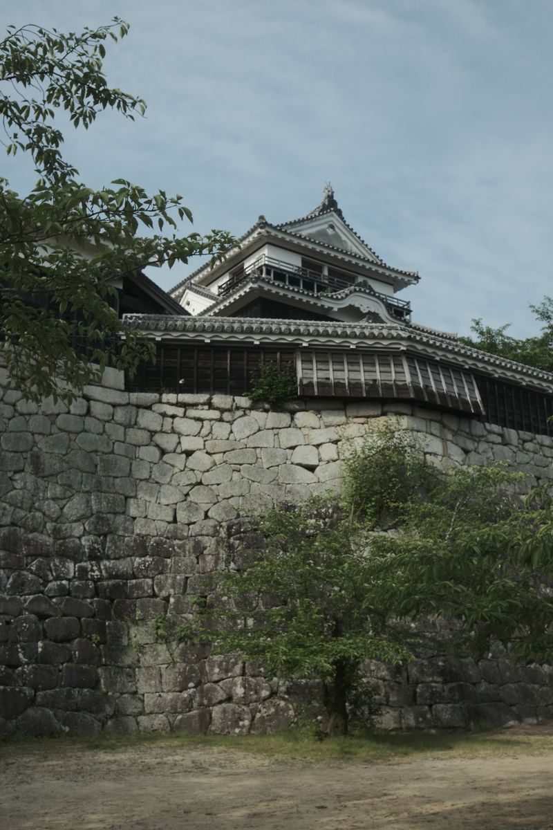 Matsuyama Castle seen between trees — one of twelve original Edo-period castle keeps remaining in Japan, Ehime