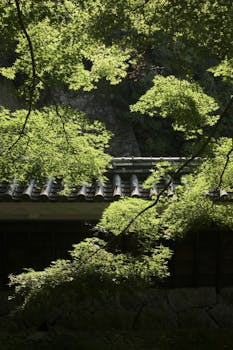Sunlight filters through lush trees onto a traditional Japanese building.