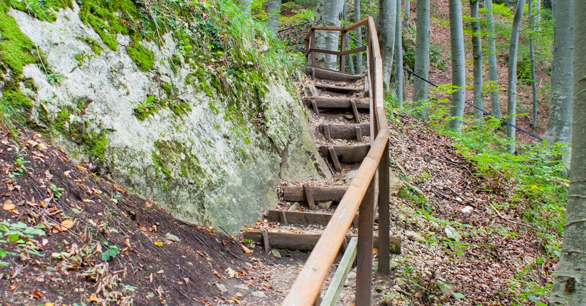 Free stock photo of woods stairs
