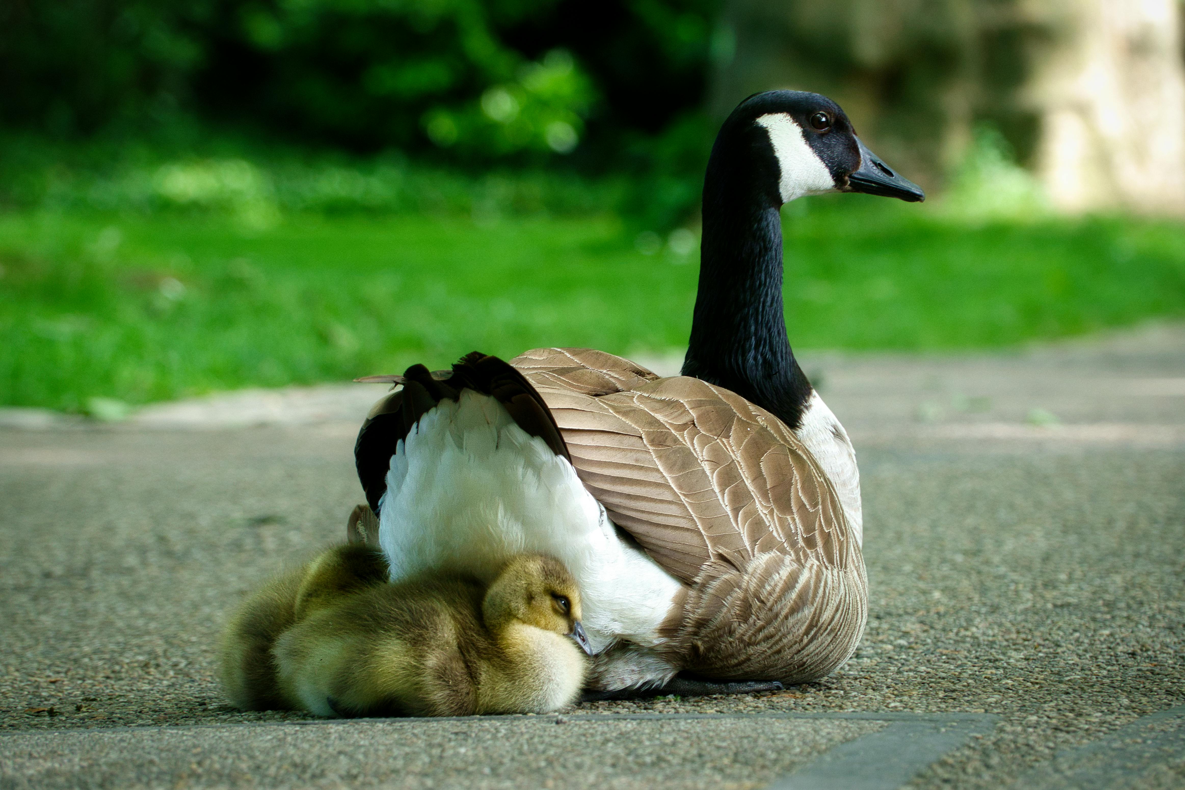 Chicks Onlyfans Desnudas Photos, Download The BEST Free Chicks Onlyfans