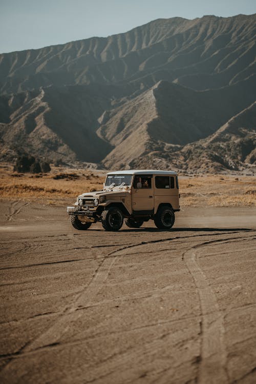 белый и черный Jeep Wrangler на грунтовой дороге