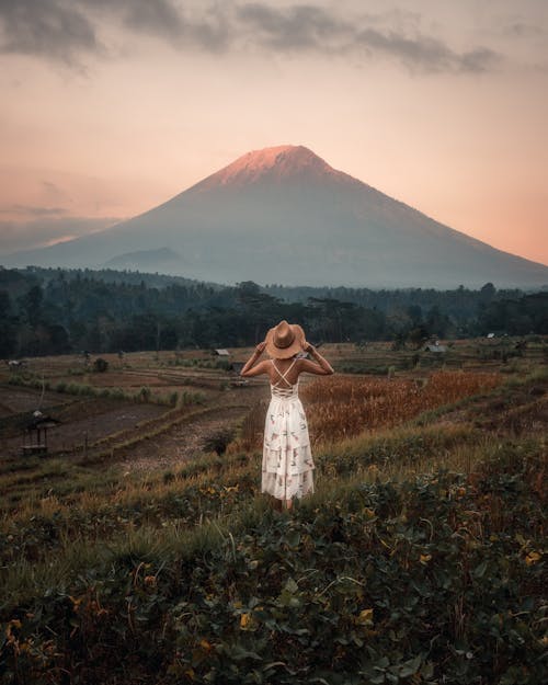 背面図写真緑の芝生のフィールドに立っている白いドレスの女性