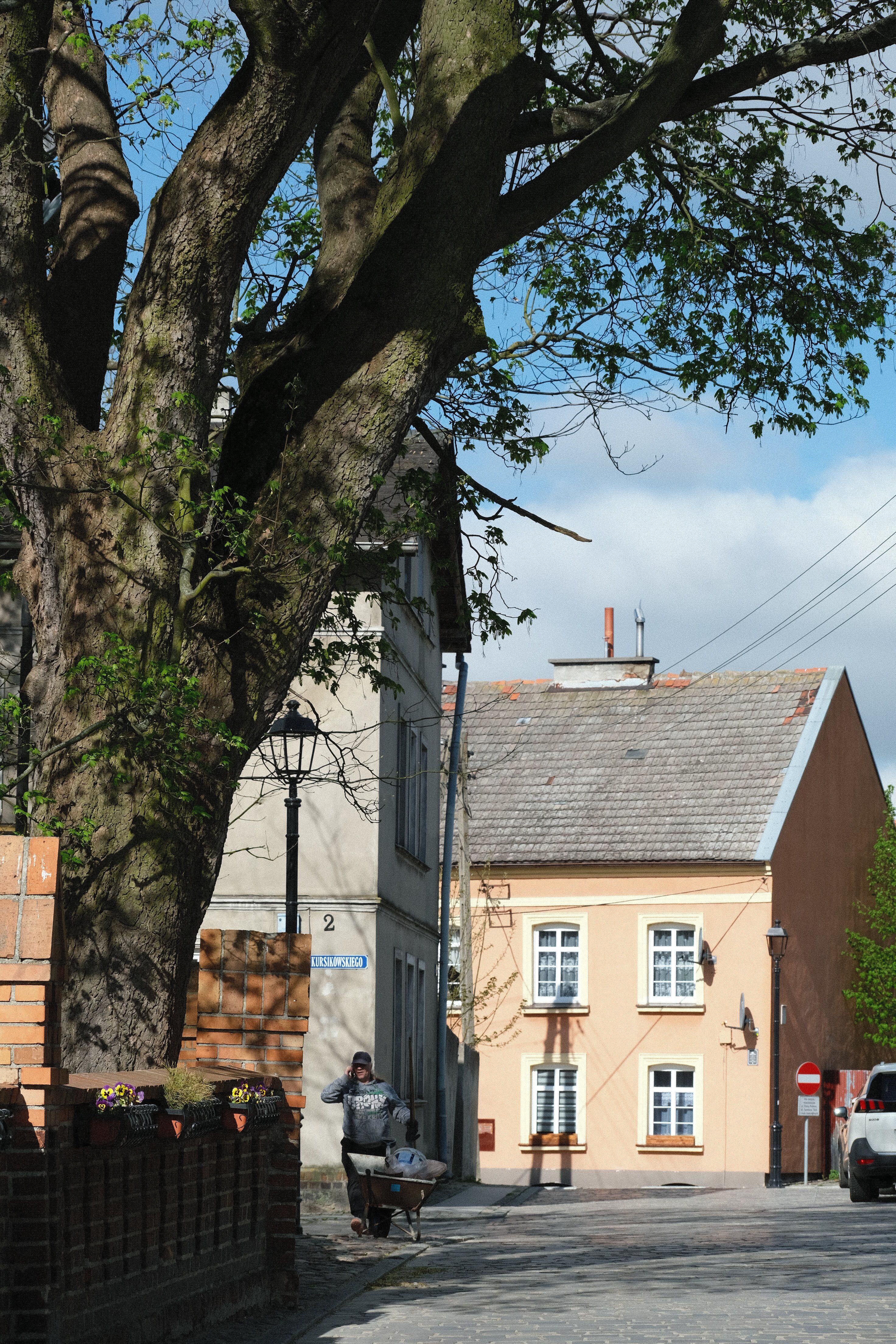 Picturesque European street scene with charming houses and lush tree, perfect for travel stock photos.