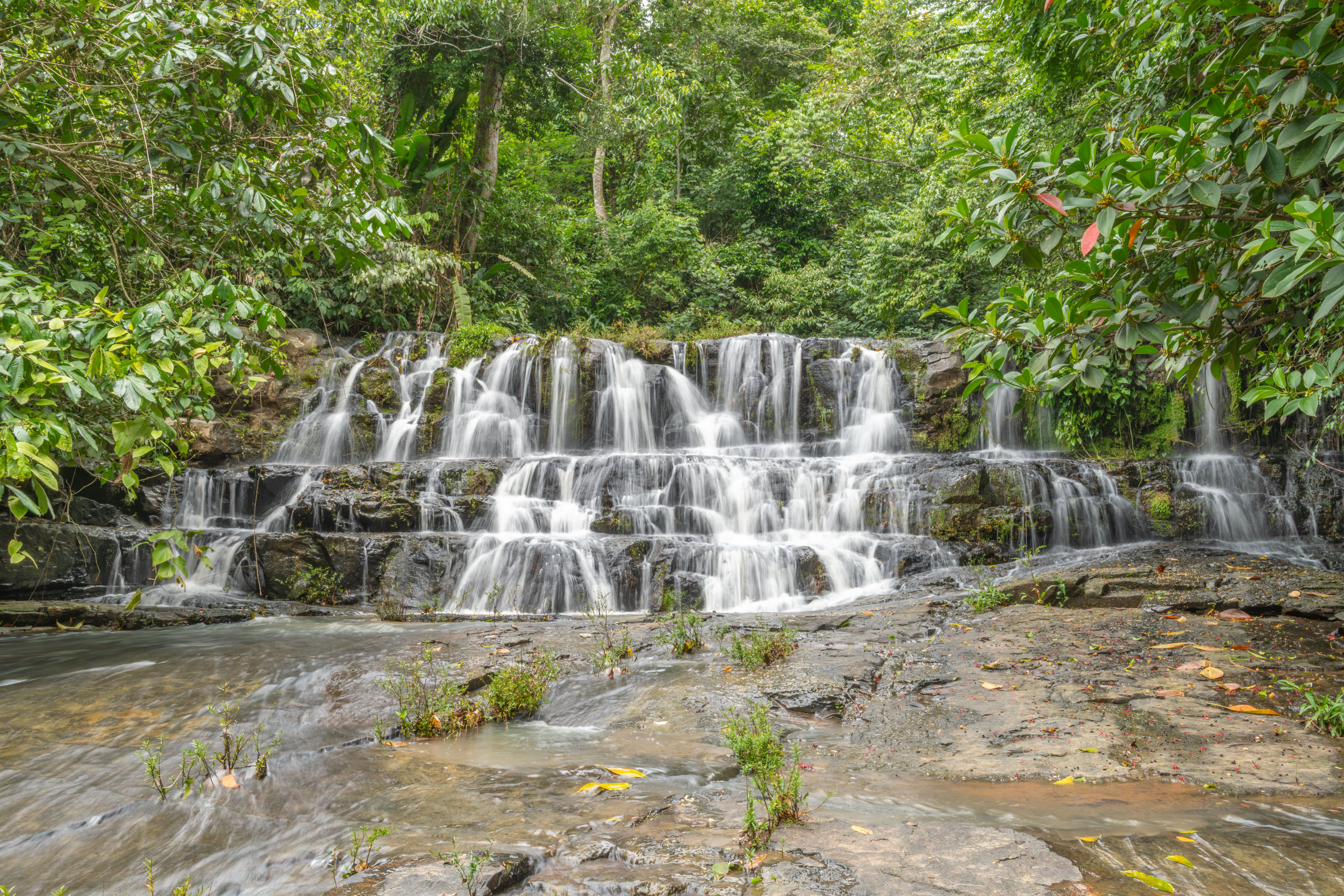 Eco-friendly practices at a Costa Rican resort
