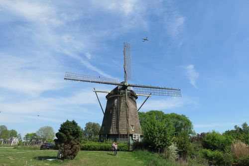 Historic windmill at Keukenhof Gardens