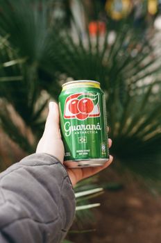 Guarana Energy Drink Organic Gemini