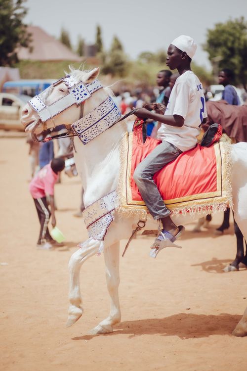 Free A young man riding a beautifully adorned horse outdoors in Nigeria. Stock Photo
