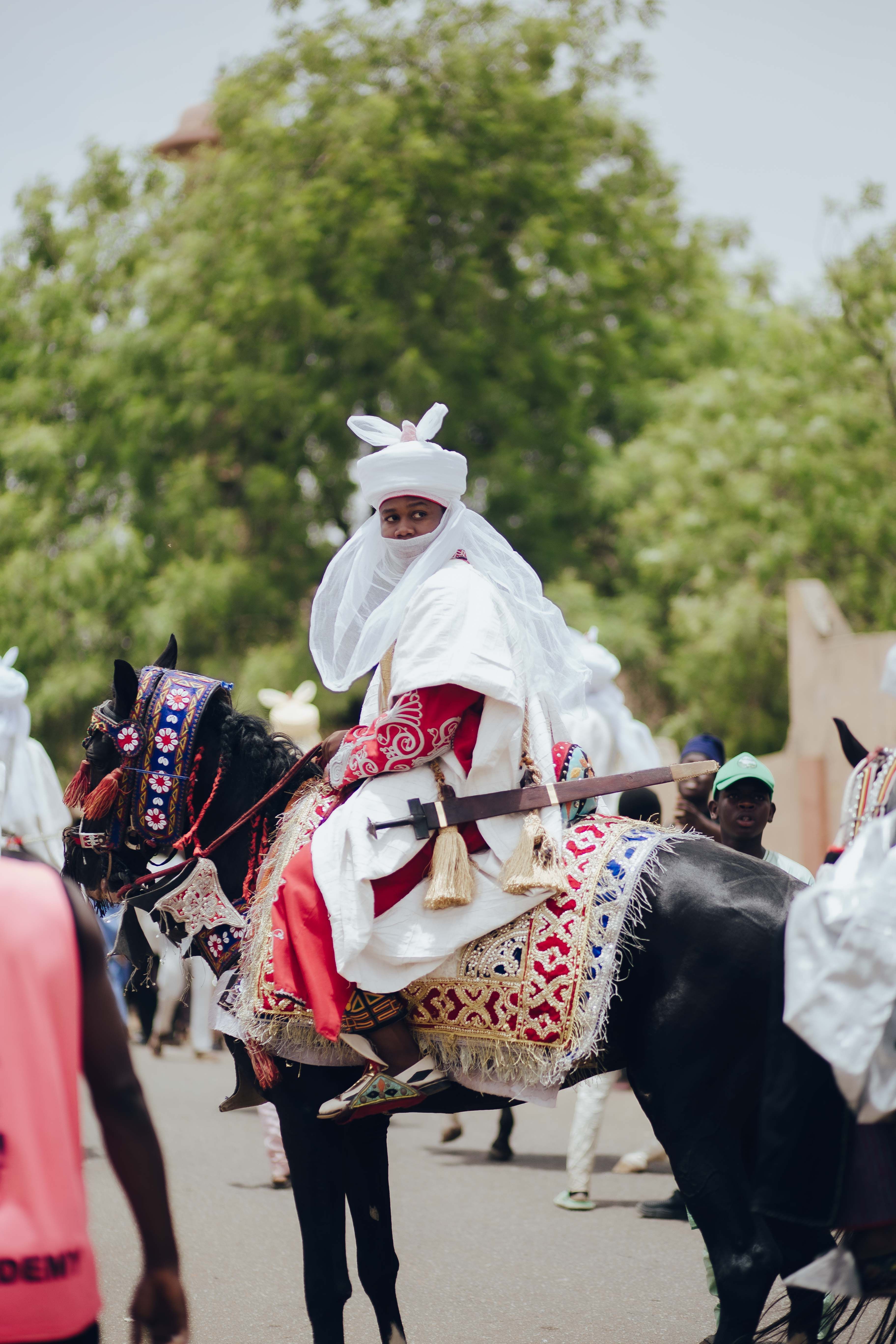 Traditional Festival Rider in Nigeria · Free Stock Photo