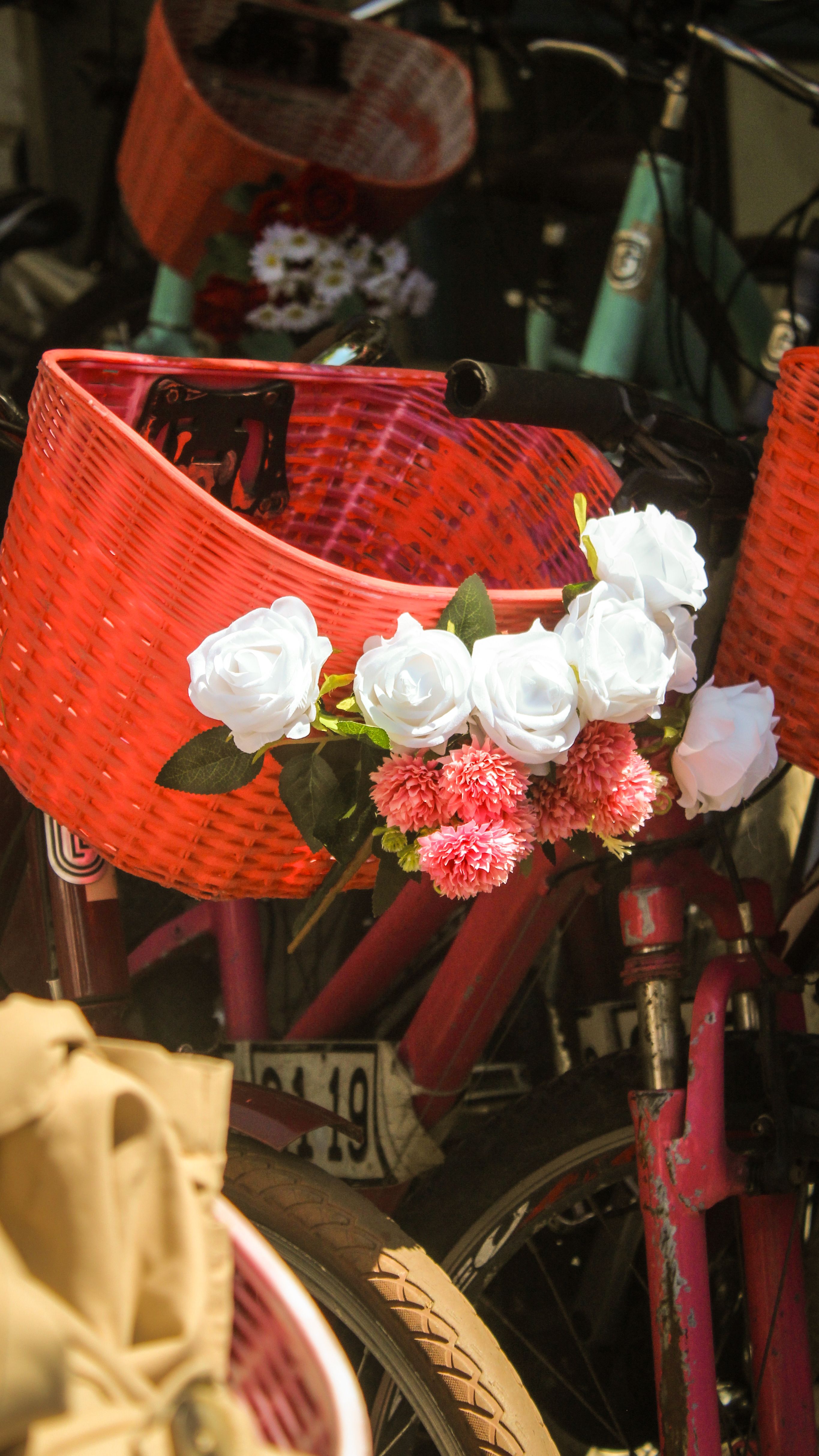 10.000+ Fahrrad Mit Korb Bilder und Fotos  Kostenlos Downloaden  Pexels  Stock-Fotos