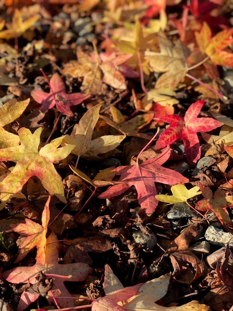 Water Treatment Facility