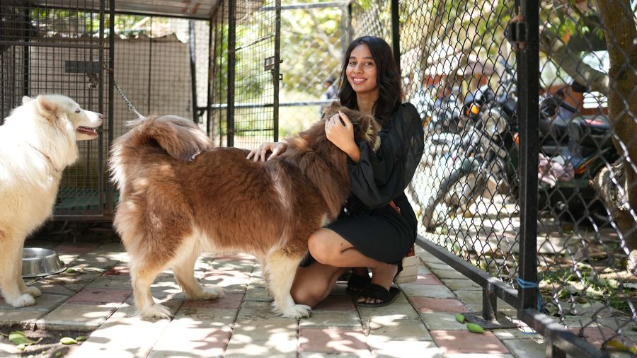 The Protein and Kidney Failure Myth in Dog Food, Untangled