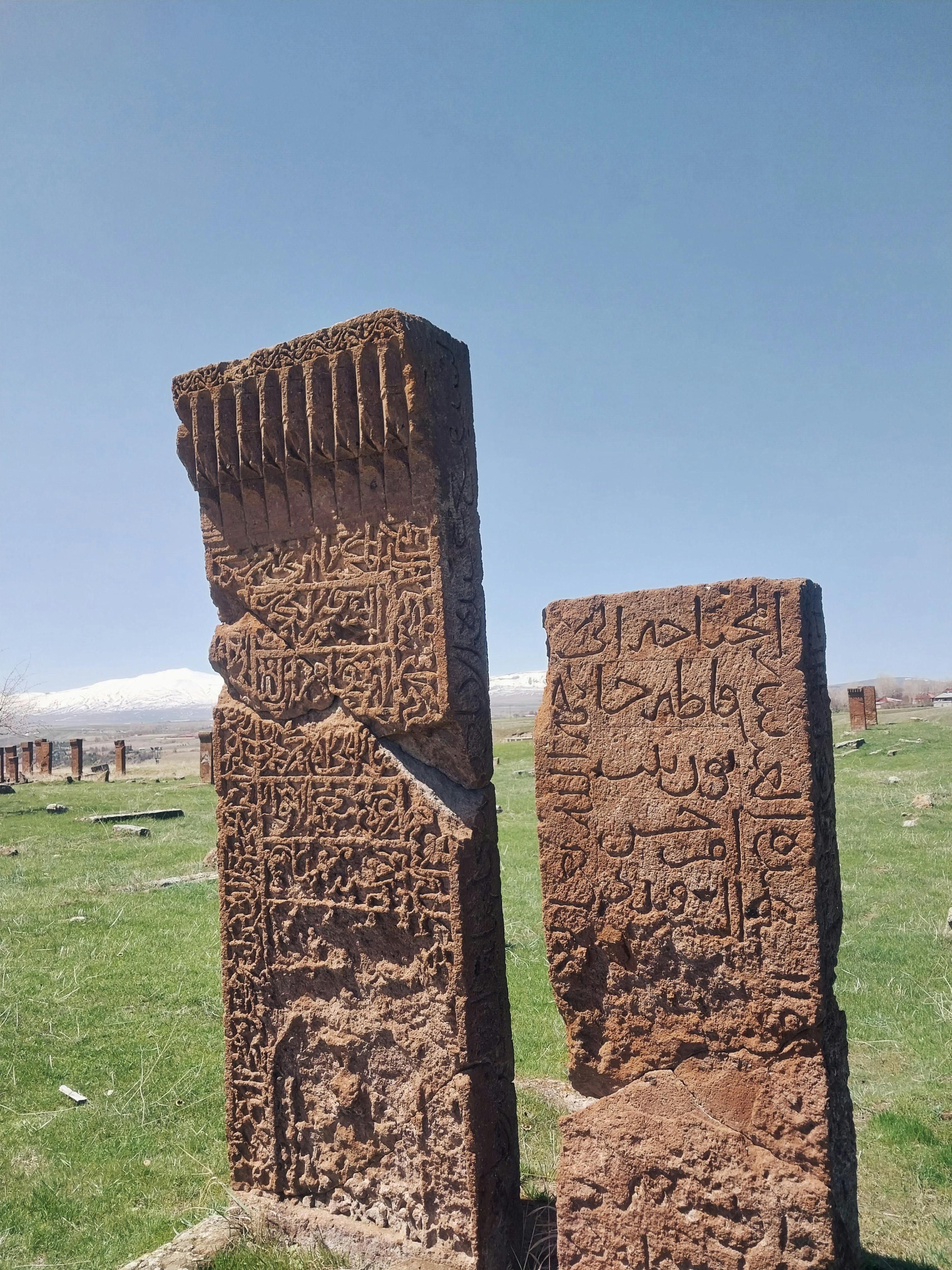 Historic Ottoman tombstones with intricate carvings under a clear blue sky, set in a lush green cemetery.