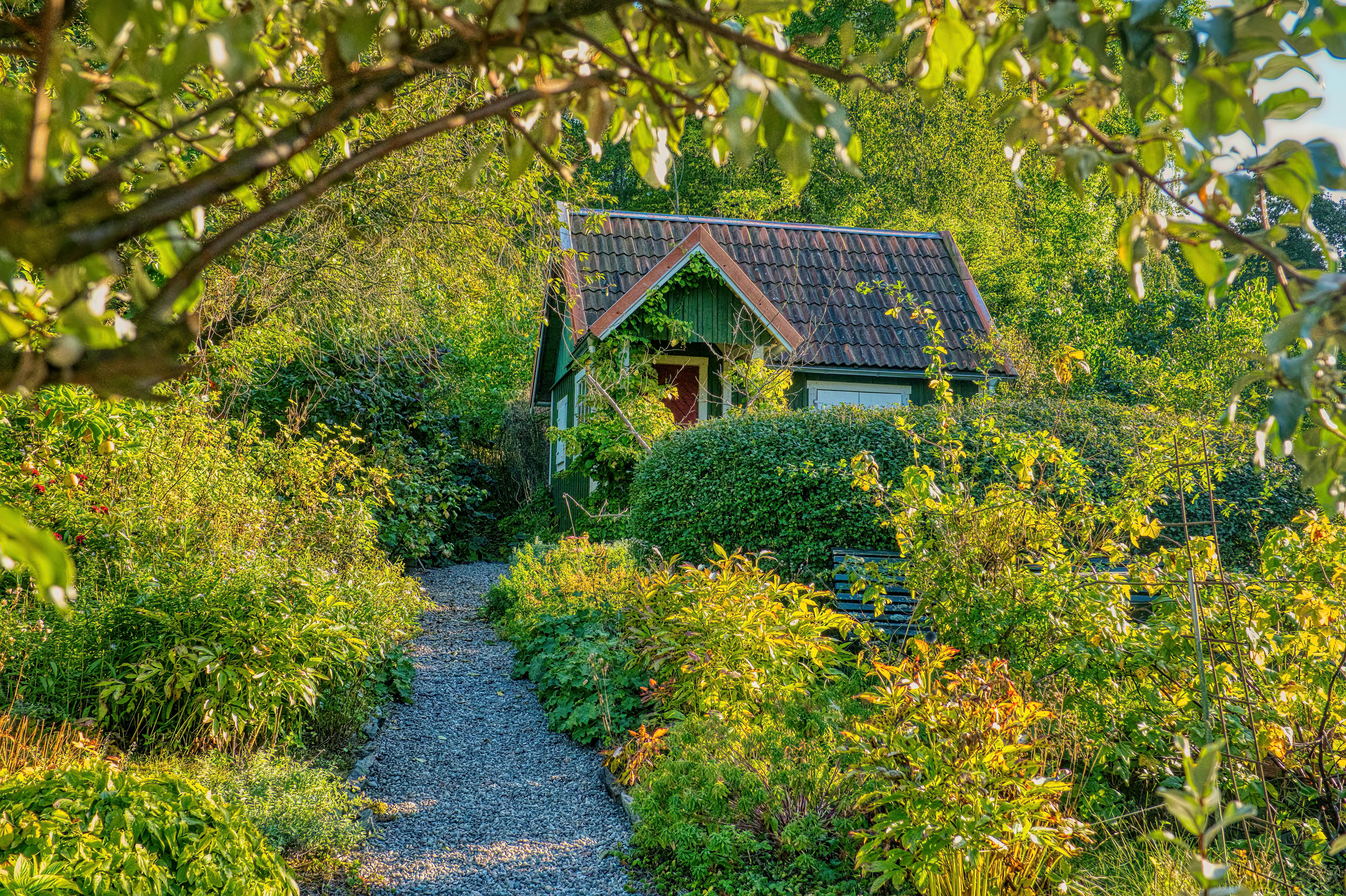 Picturesque cottage surrounded by lush greenery in Stockholm, Sweden.