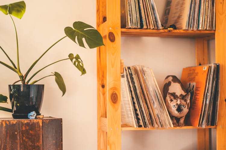 Brown Wooden Rack With Record Shelve