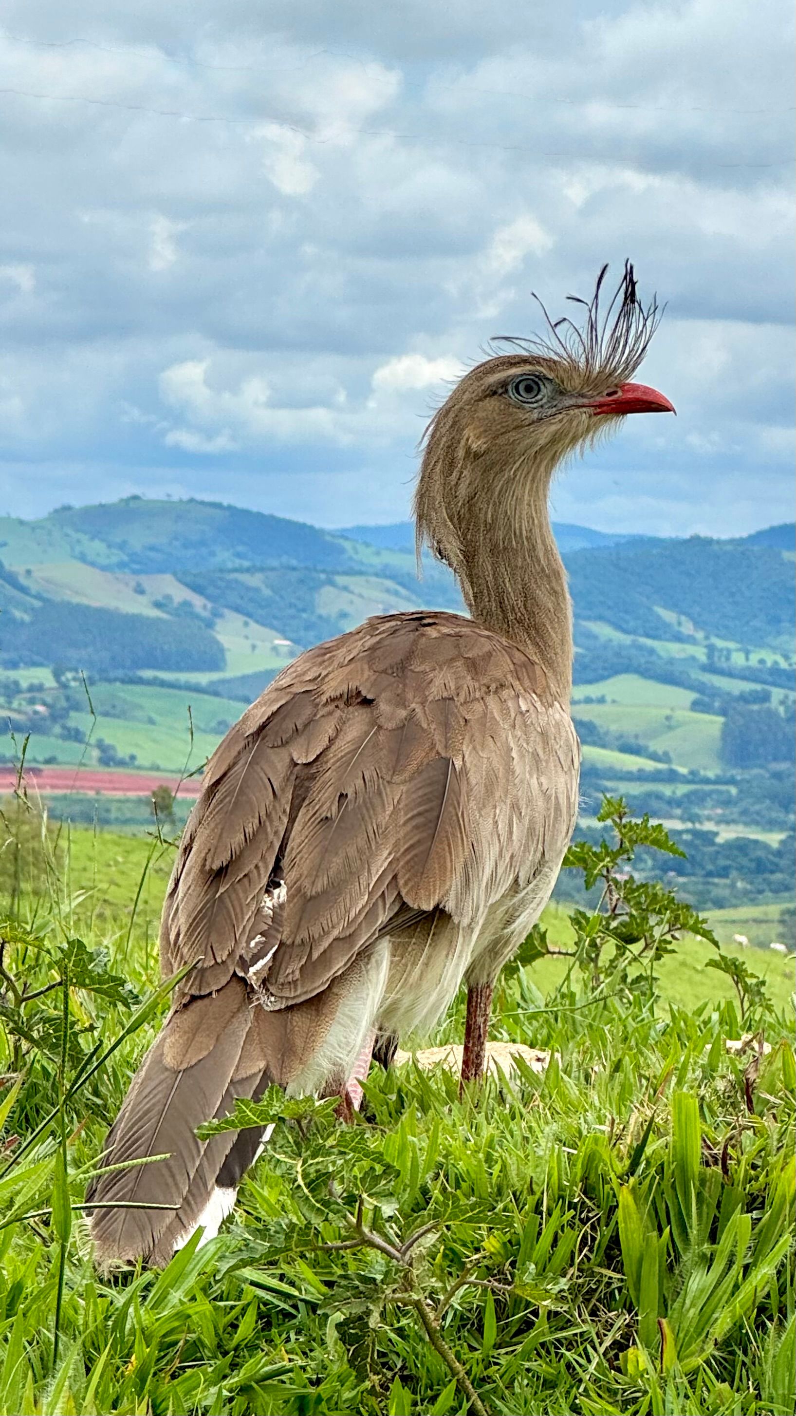 BE não poupa a Câmara de Santa Cruz pelo que não fez em matéria de habitação