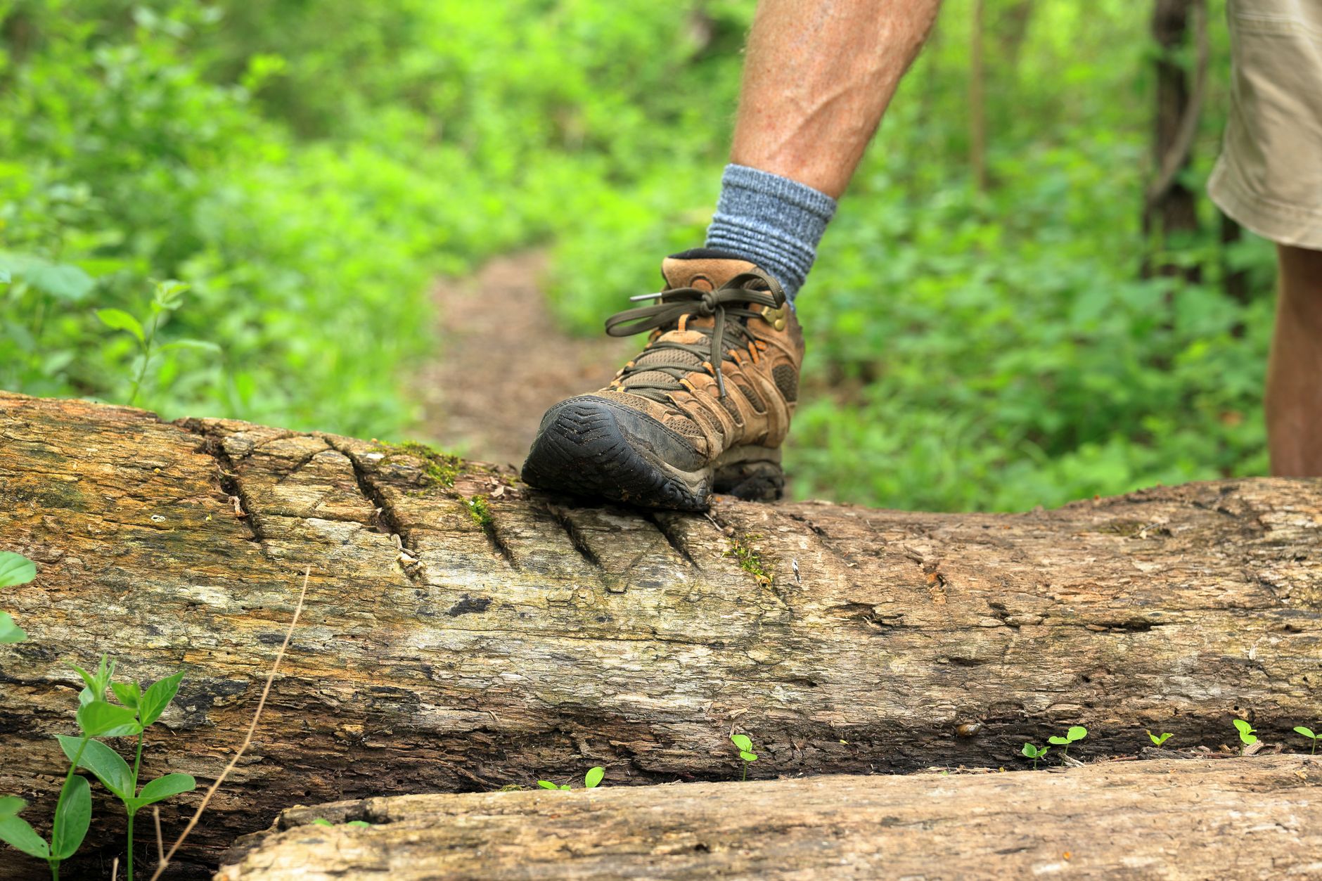 hiker trail feet outdoors