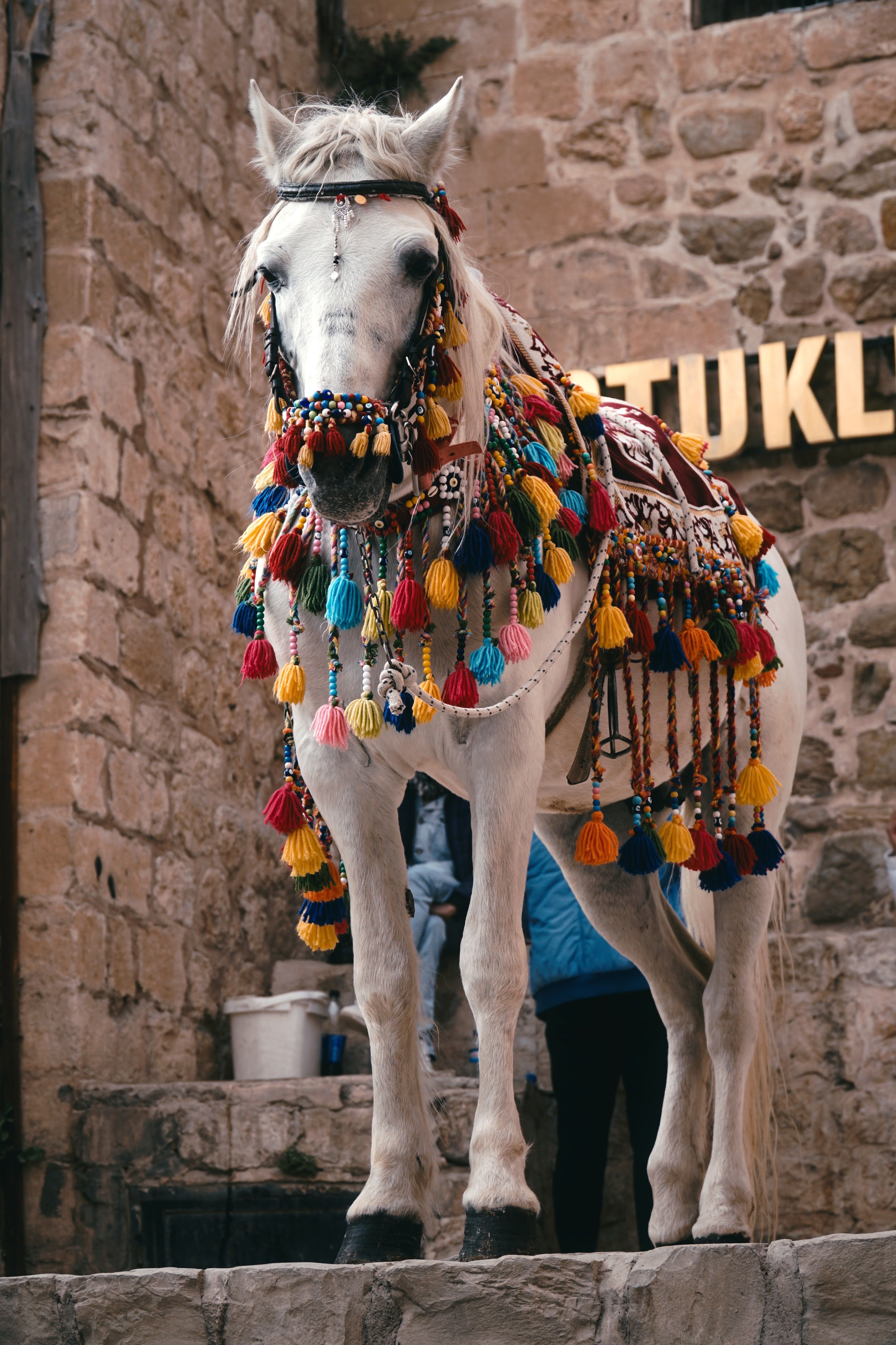 Colorfully decorated horse in traditional attire · Free Stock Photo