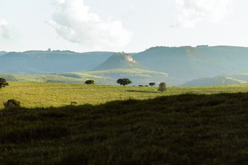 Free Peaceful landscape featuring rolling hills, open fields, and scattered trees under a clear sky. Stock Photo
