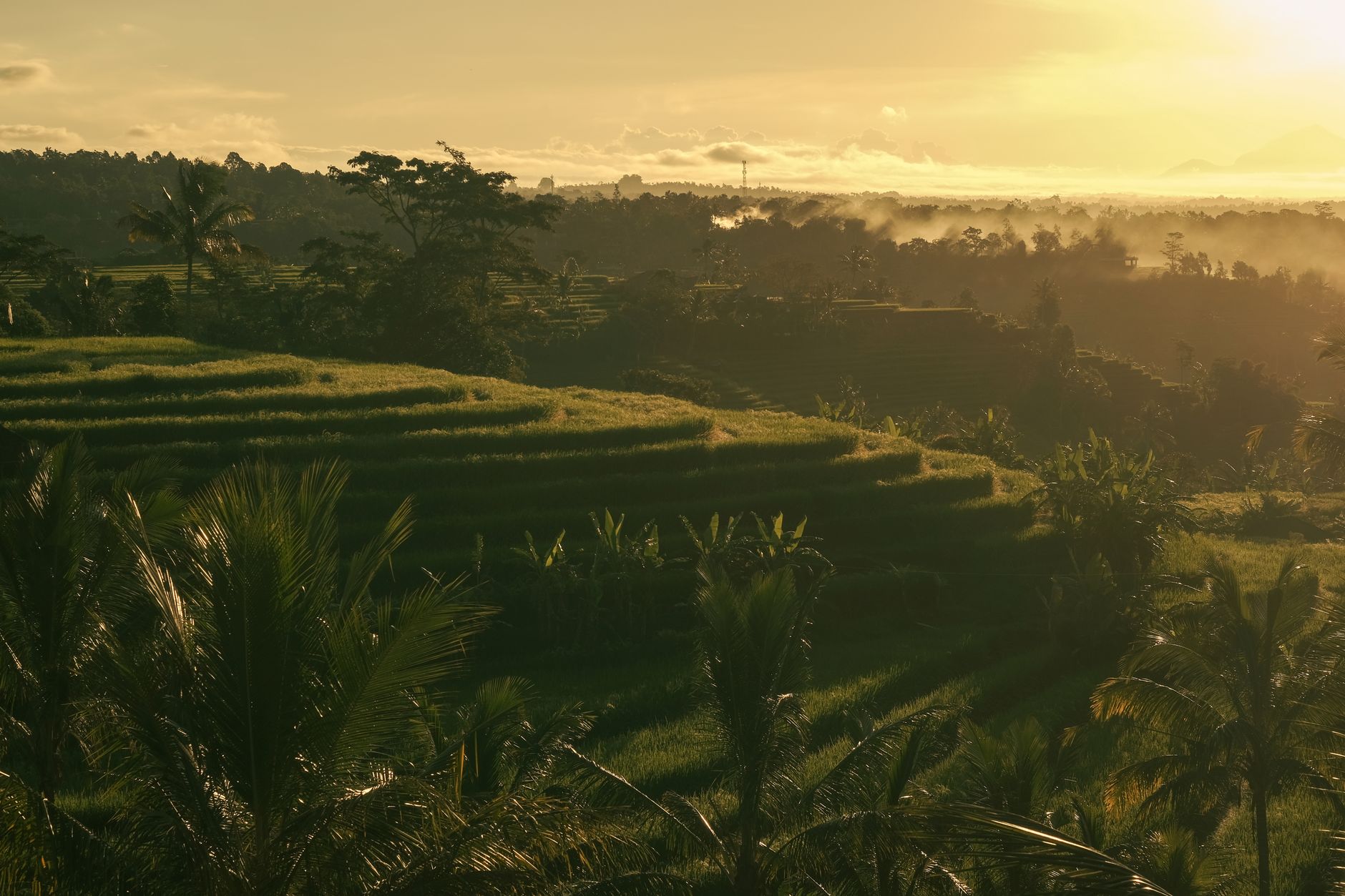 Cycling (Fietsen) in Ubud Bali