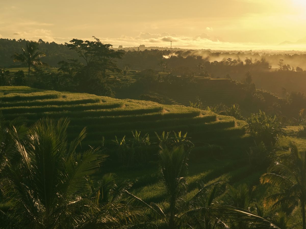 28 Day 300 Hour Advanced Yoga Teacher Training in Ubud Bali 1