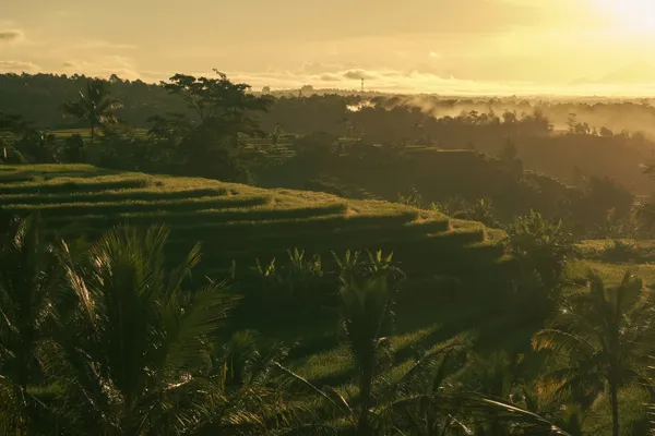 Ubud
