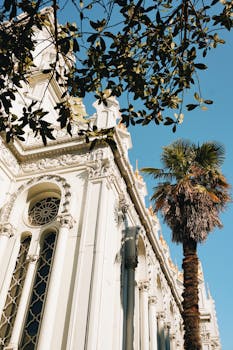 Elegant architectural facade with palm tree under clear sky, ideal for travel and architecture themes.