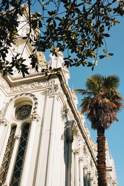 Elegant architectural facade with palm tree under clear sky, ideal for travel and architecture themes.