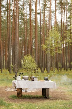 A serene outdoor dining scene with table settings in a tranquil pine forest.