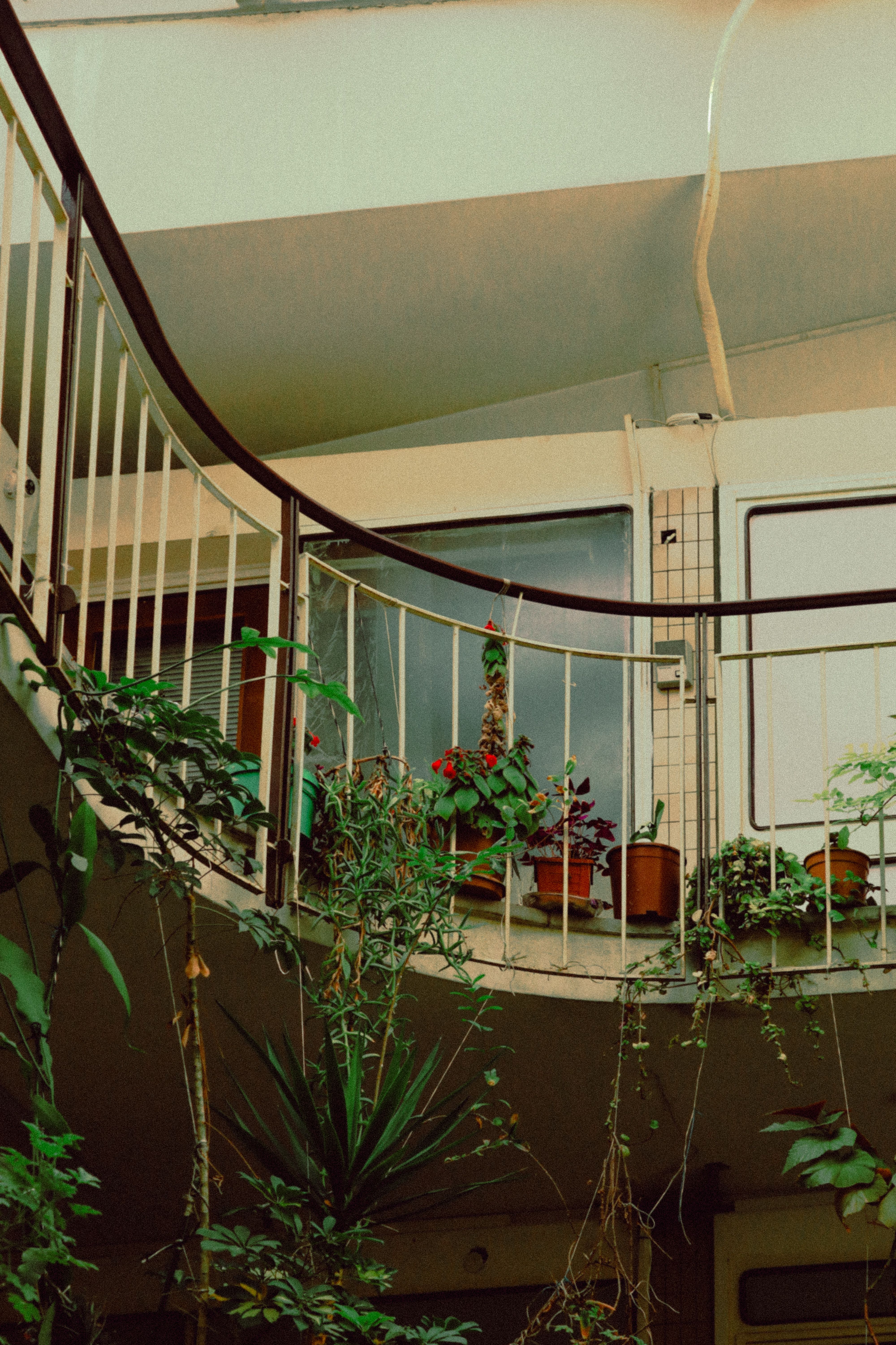 Charming Indoor Balcony with Lush Greenery · Free Stock Photo