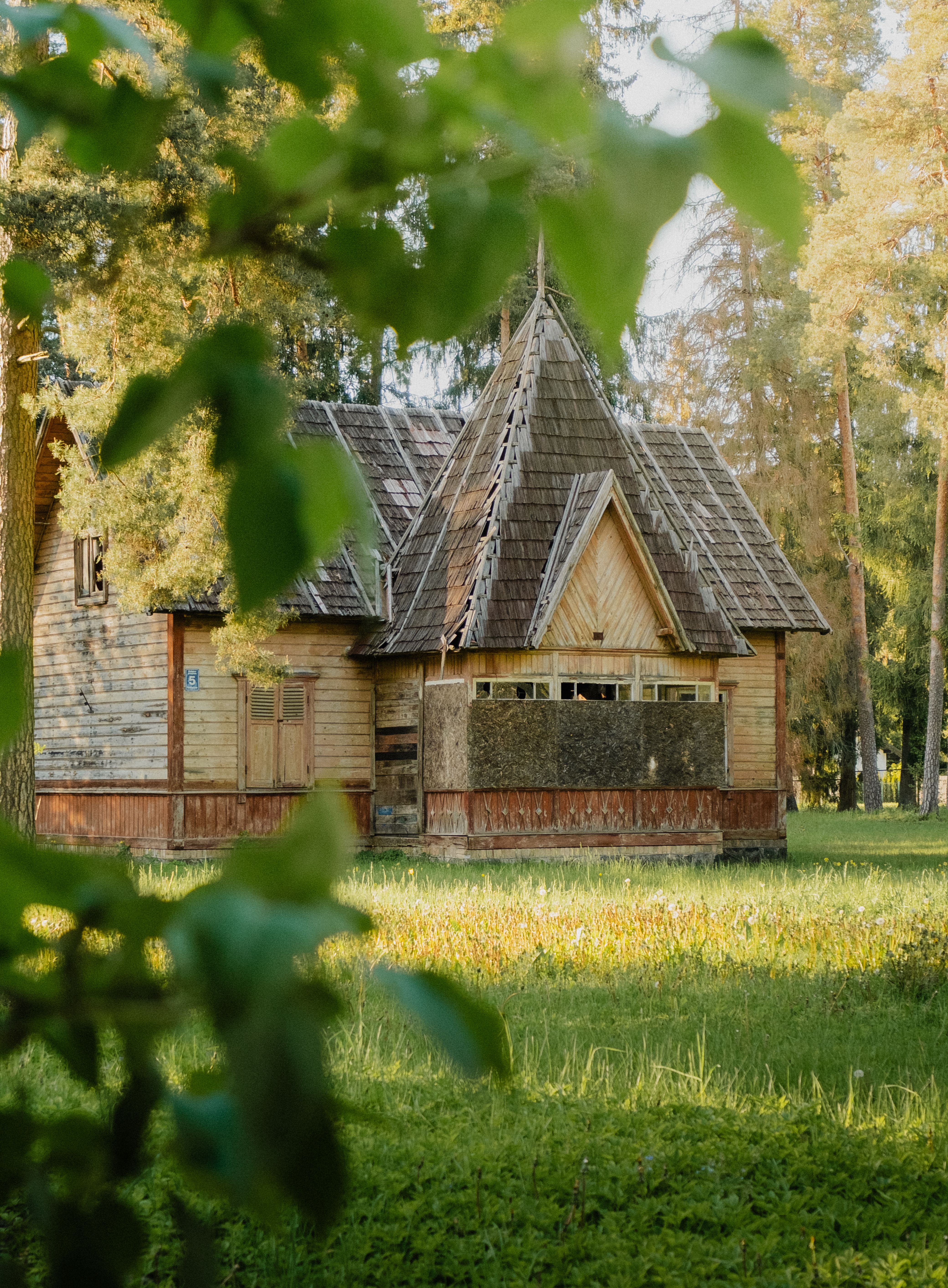 Charming Rustic Wooden Cabin in Forest Clearing · Free Stock Photo