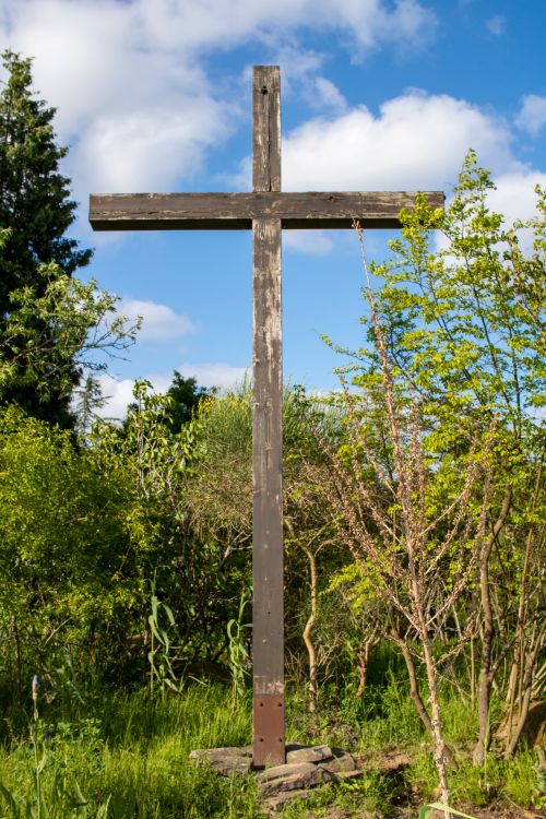 Free A weathered wooden cross stands in a botanic garden against a vibrant blue sky and flourishing greenery. Stock Photo