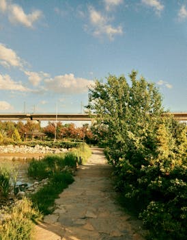 Image by Fatma Özkan