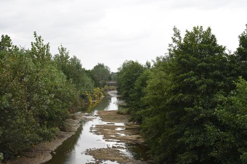 Free nature☘️ Stock Photo