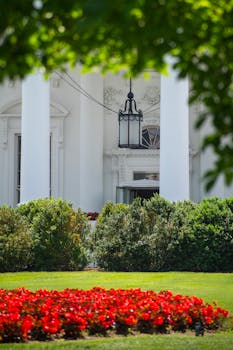 The White House 