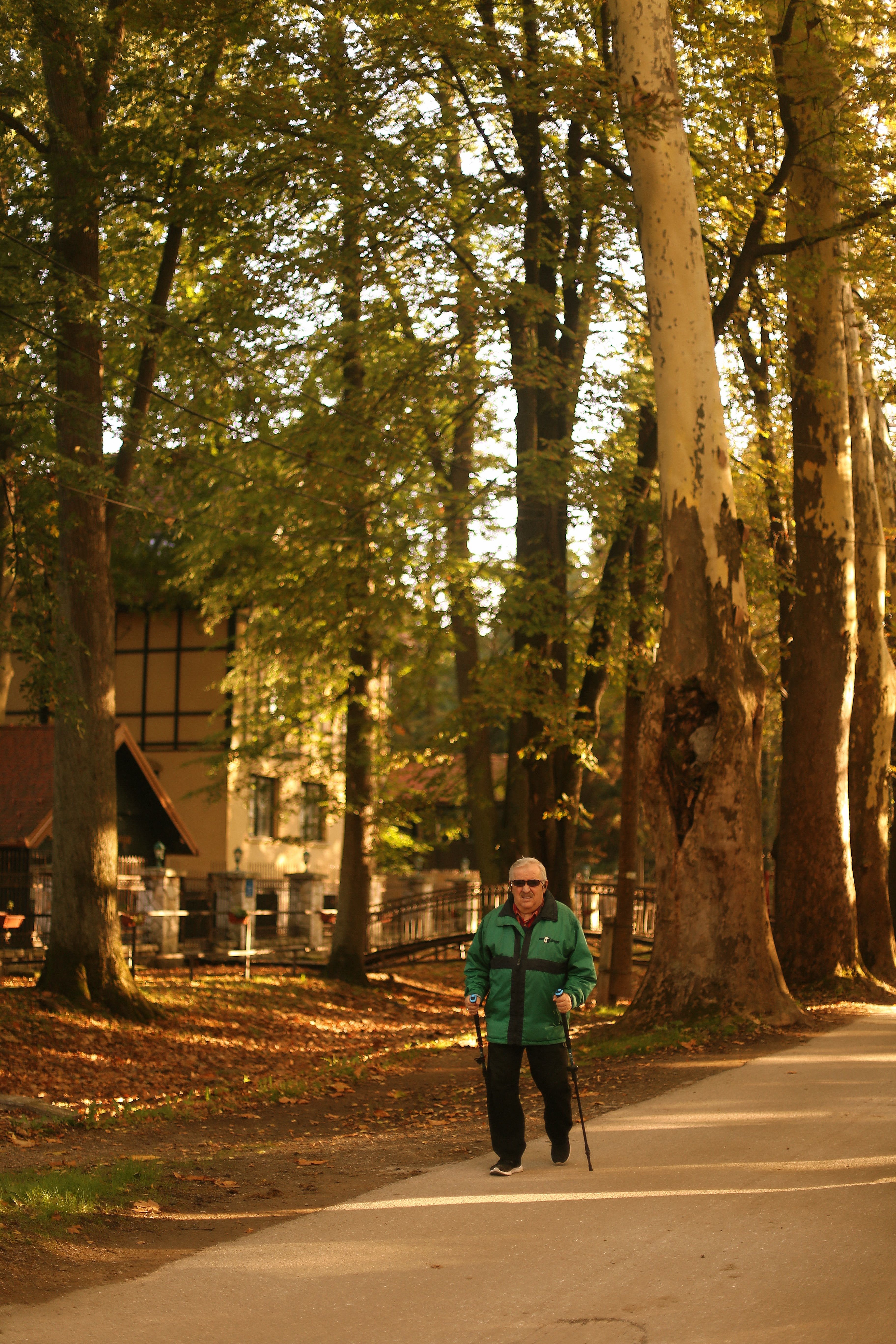 Forest Walking Path Photos Download The Best Free Forest Walking Path