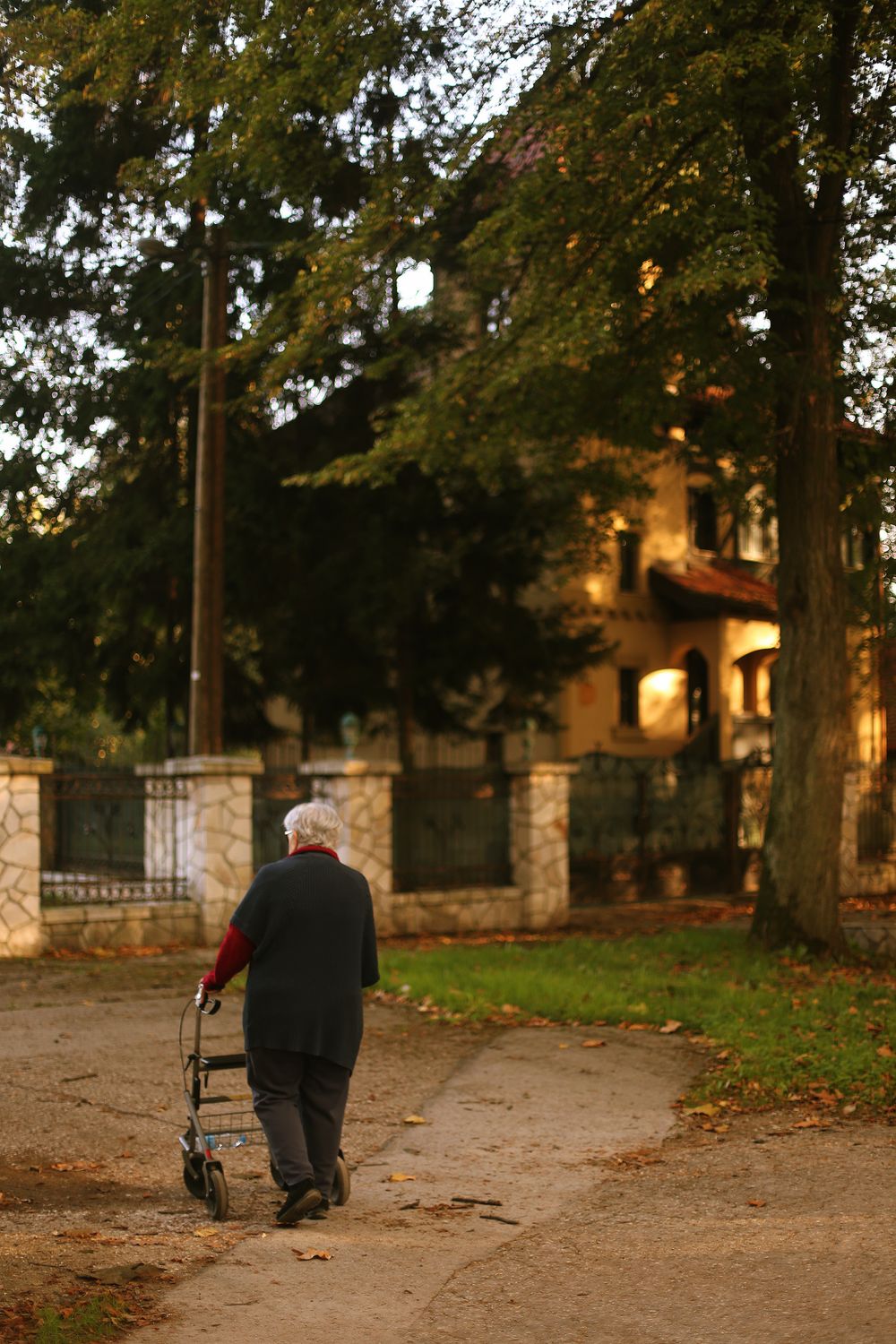Senior Adult Walking Through Autumn Park with Walker · Free Stock Photo