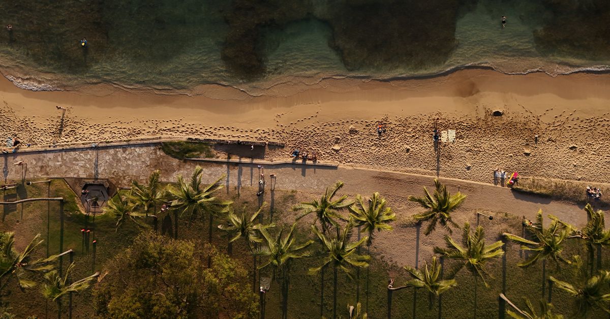 Photo by Pascal 📷 Stunning aerial view of Waikiki Beach in Honolulu, Hawaii, showcasing palm trees and pristine sand.