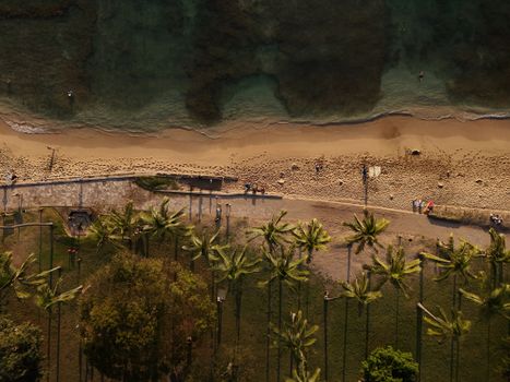 Photo by Pascal 📷 Stunning aerial view of Waikiki Beach in Honolulu, Hawaii, showcasing palm trees and pristine sand.